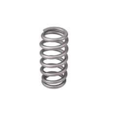 Valve Springs